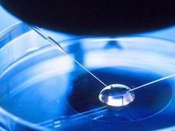 洛阳地区有哪些私立的机构可以做试管技术？超高龄女性二代试管移植哪种胚胎成功率比较好呢？