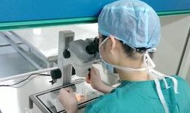 试管婴儿移植前能吃燕窝吗？三类人不建议吃！