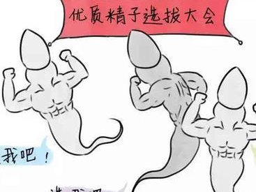 揭秘试管婴儿如何预防畸形，做好六点助您生下健康宝宝