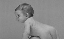 在月经期间内吃什么食物可以减肥？