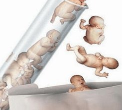 月经第三天促黄体生成素8.6高吗？