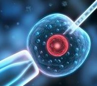 在泰安做三代试管婴儿要多少钱？我们用三分钟来解释一下！